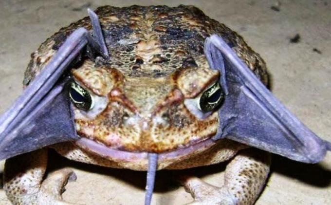 Berita Maritim Vulputate velit esse molestie consequat,